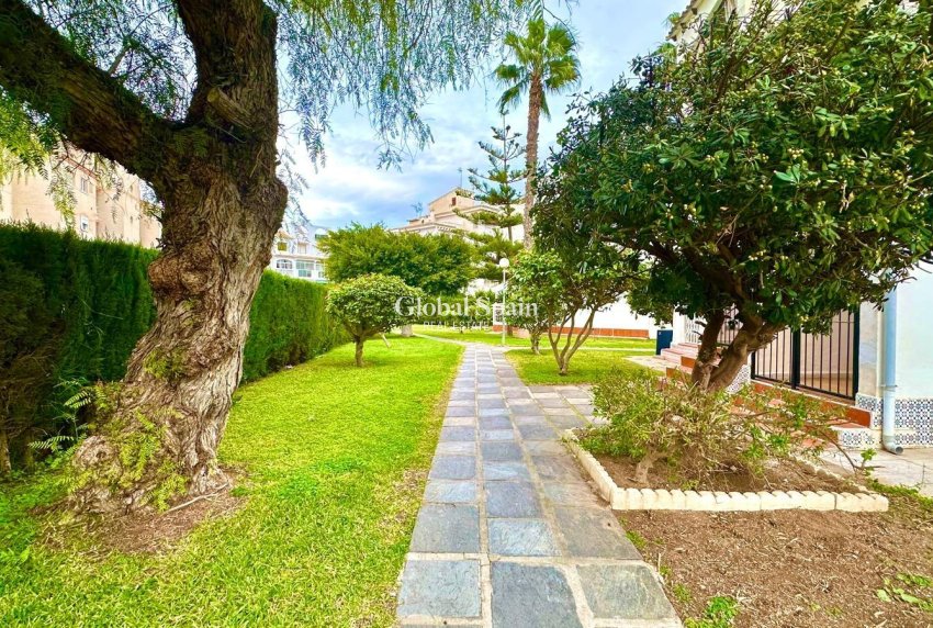 Resale - APARTMENT -
TORREVIEJA - Estacion de autobuses