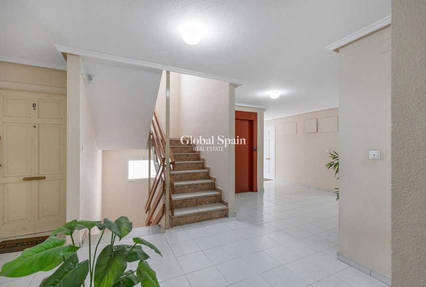 Resale - APARTMENT -
TORREVIEJA - Estacion de autobuses