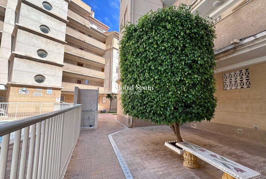 Resale - APARTMENT -
TORREVIEJA - Habaneras