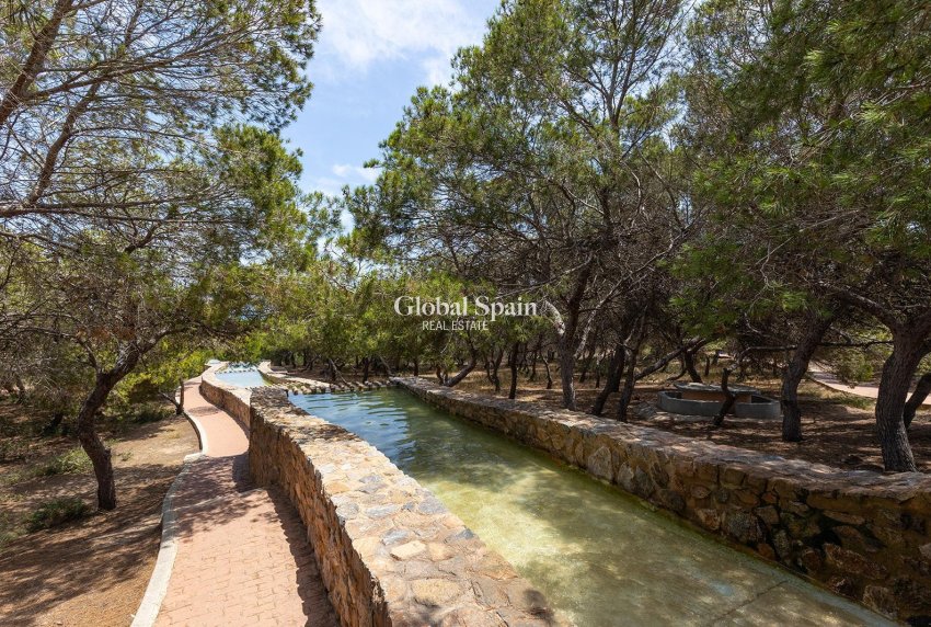 Resale - APARTMENT -
TORREVIEJA - La Mata