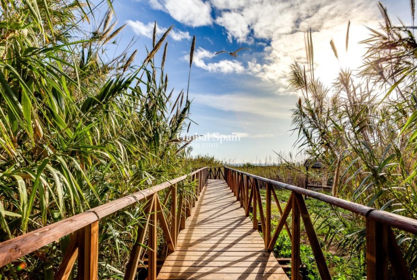 Resale - APARTMENT -
TORREVIEJA - La Mata