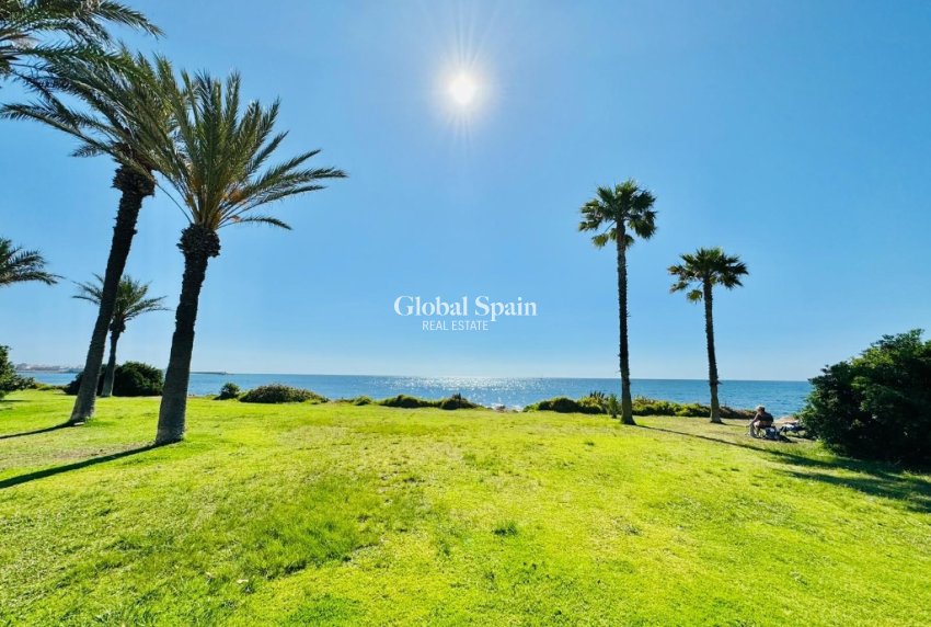 Resale - Apartment -
TORREVIEJA - La Veleta