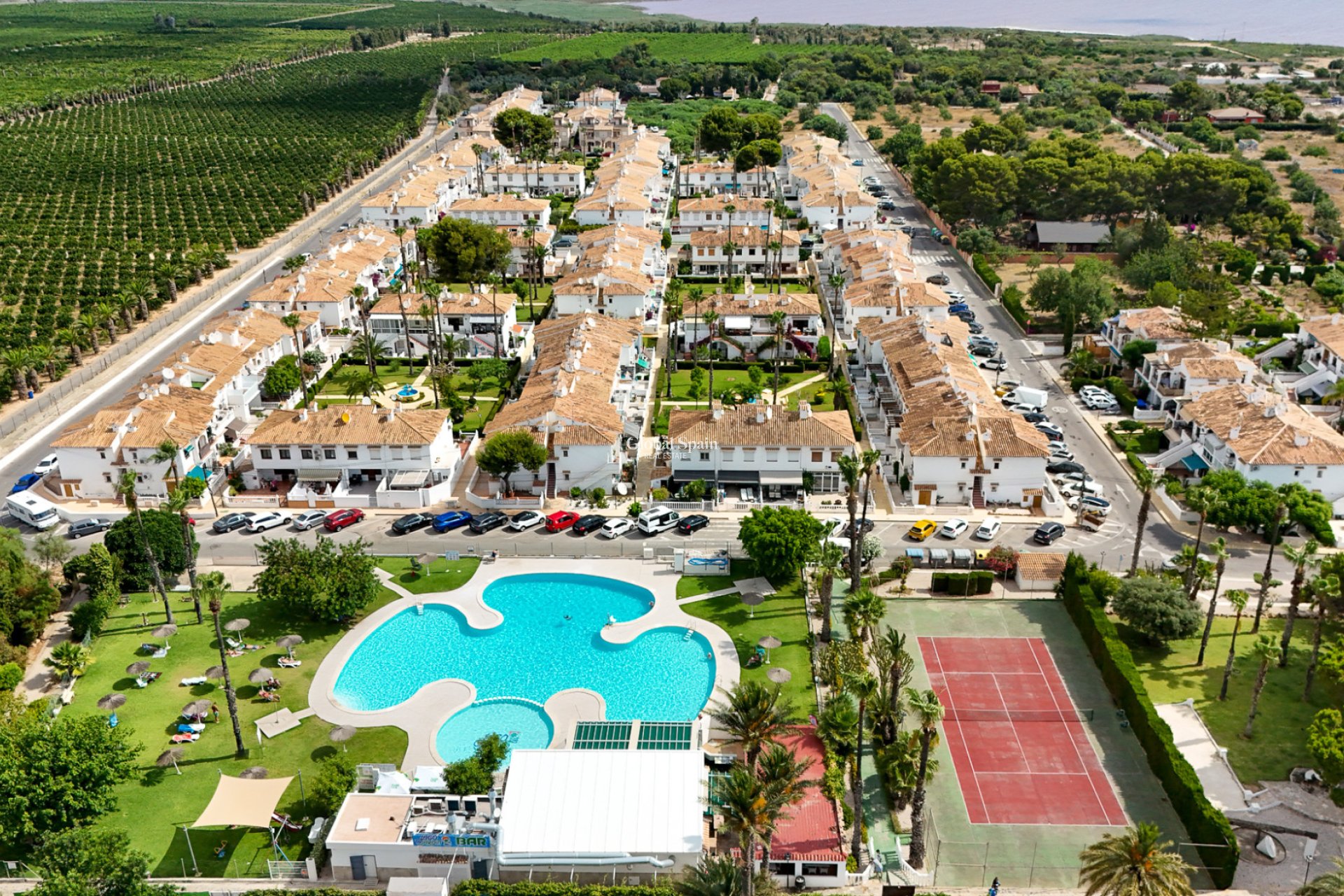 Resale - APARTMENT -
TORREVIEJA - Lago jardin