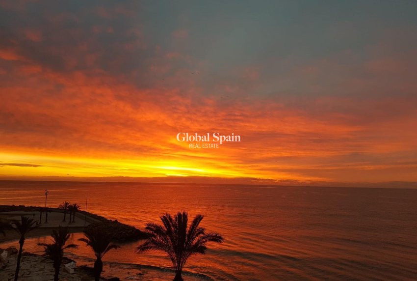 Resale - APARTMENT -
TORREVIEJA - Las Piscinas Naturales