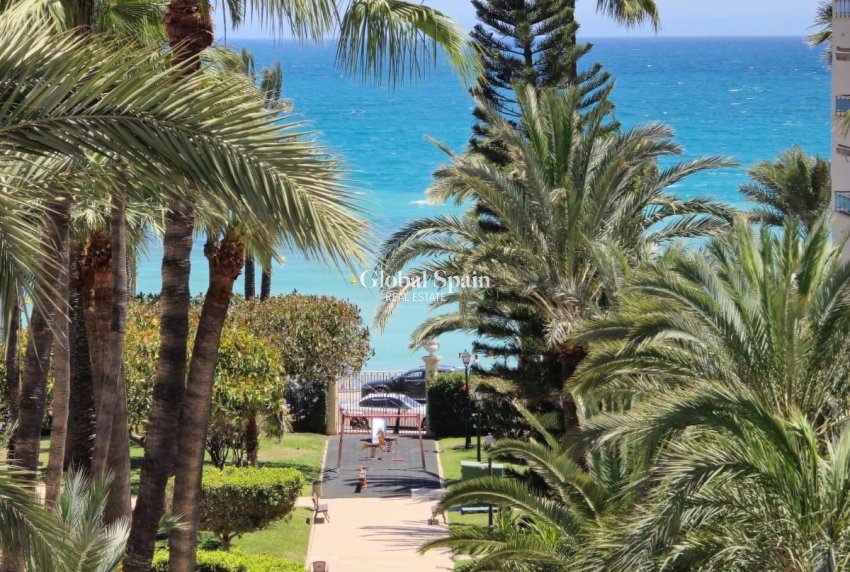 Resale - APARTMENT -
TORREVIEJA - Los Frutales