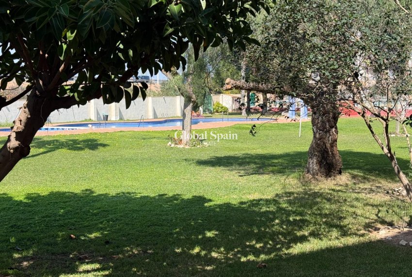 Resale - APARTMENT -
TORREVIEJA - Parque de las Naciones