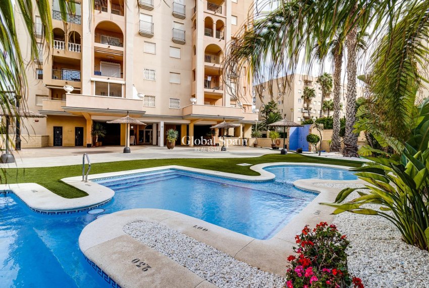 Resale - APARTMENT -
TORREVIEJA - Playa de los Locos