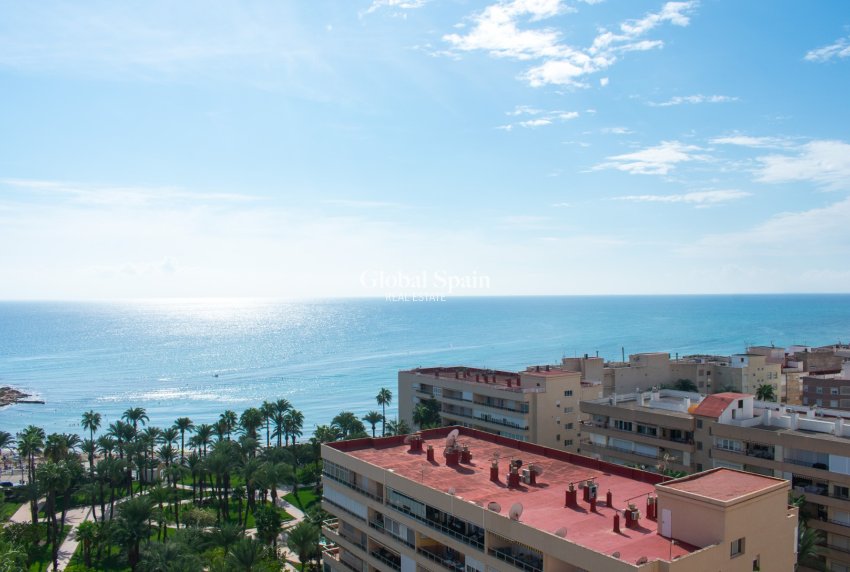 Resale - APARTMENT -
TORREVIEJA - Playa de los Locos