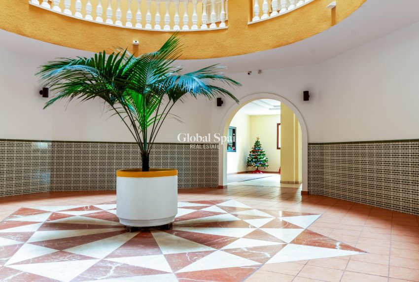 Resale - APARTMENT -
TORREVIEJA - Playa de los Locos