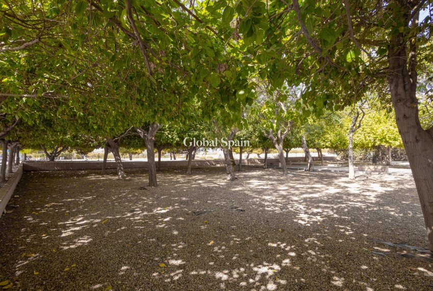 Resale - APARTMENT -
TORREVIEJA - Playa de los Naufragos