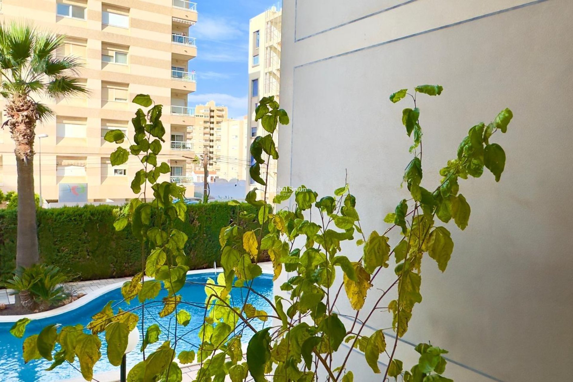 Resale - APARTMENT -
TORREVIEJA - Playa del Cura