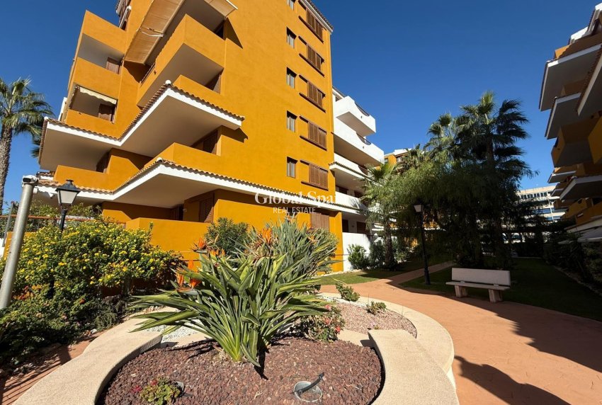 Resale - APARTMENT -
TORREVIEJA - Punta Prima