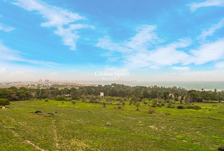 Resale - APARTMENT -
TORREVIEJA - Punta Prima