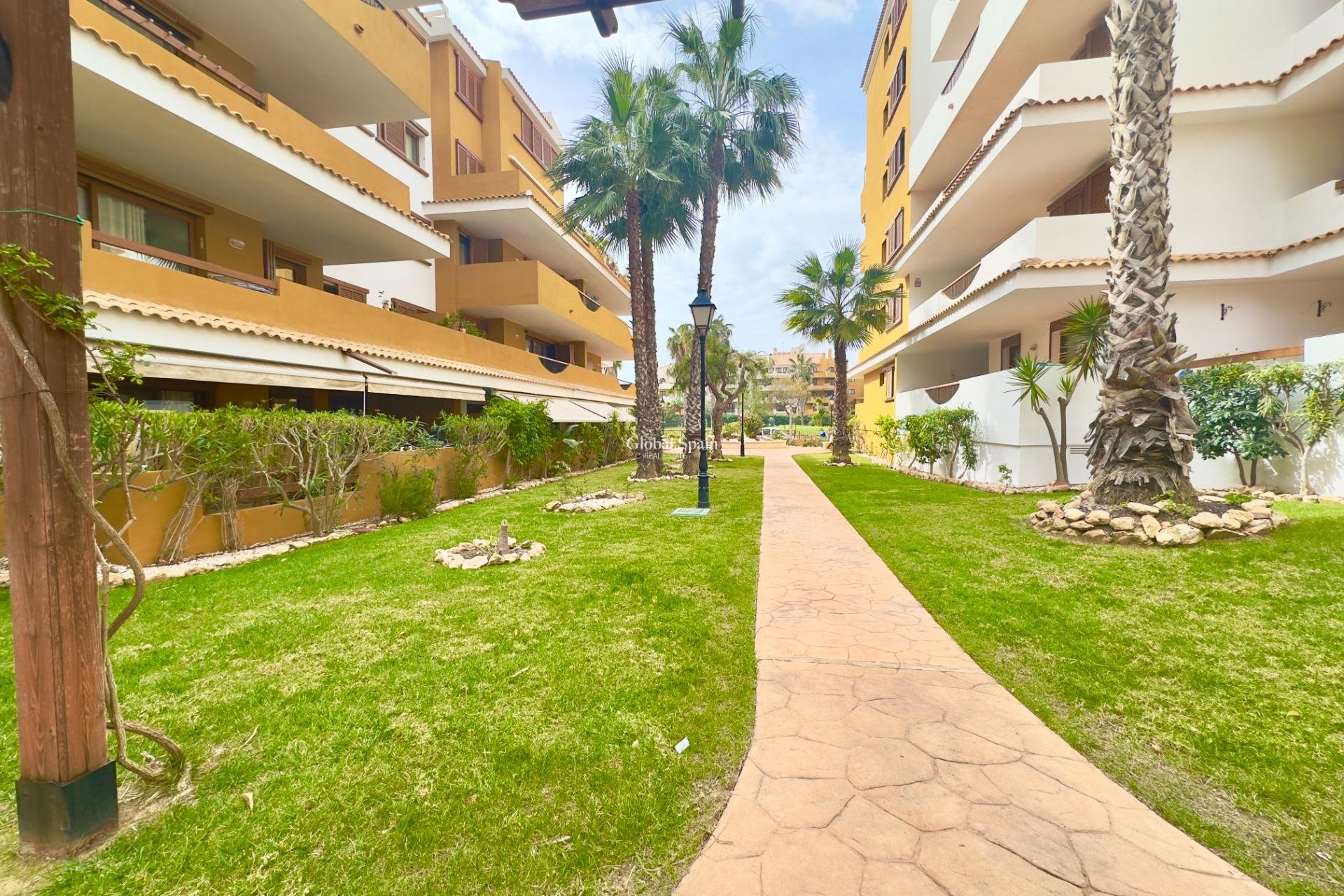Resale - APARTMENT -
TORREVIEJA - Punta prima