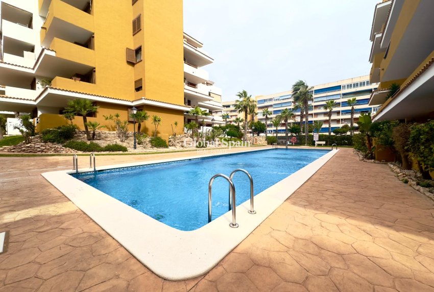 Resale - APARTMENT -
TORREVIEJA - Punta prima