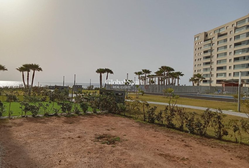 Resale - APARTMENT -
TORREVIEJA - Punta Prima