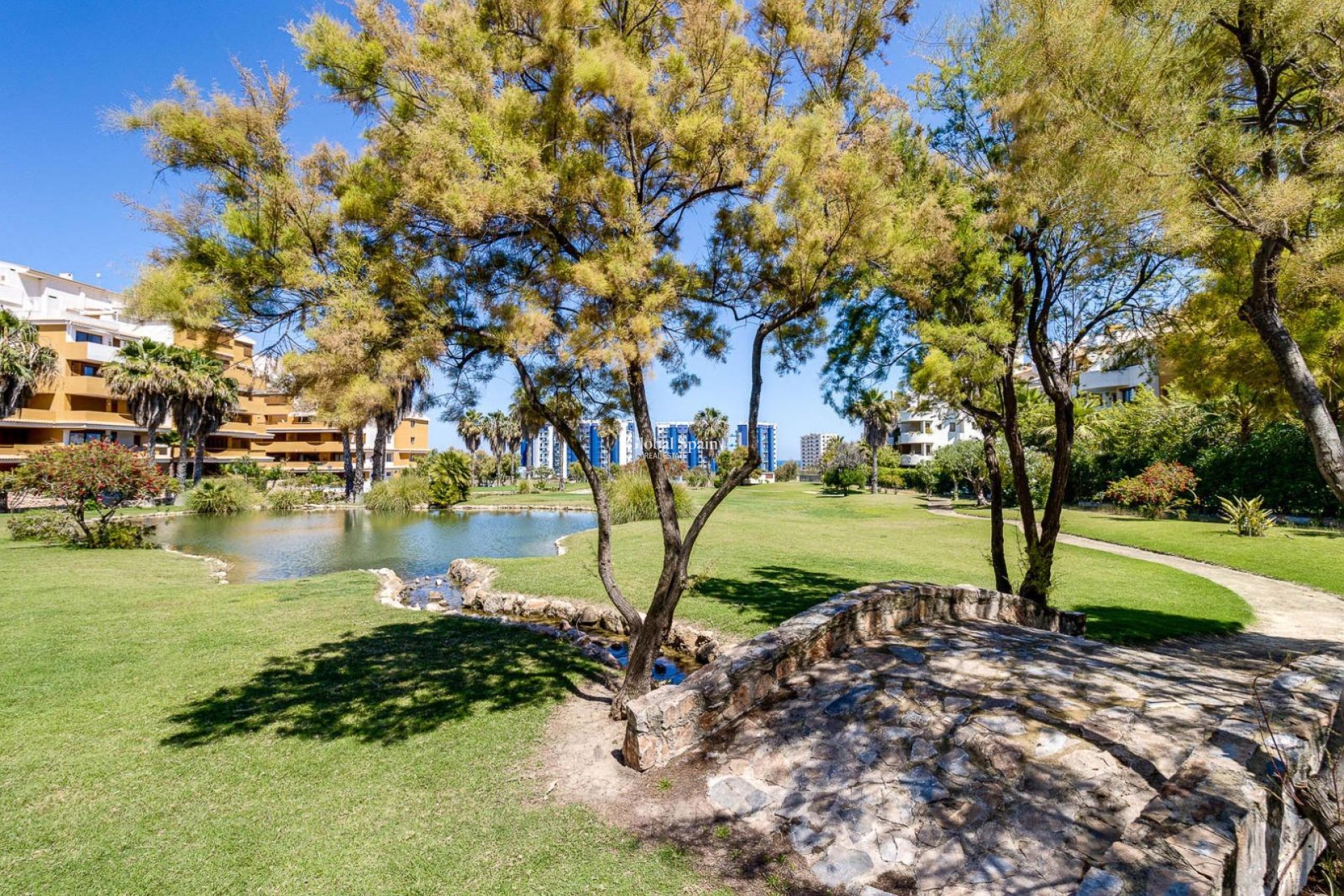 Resale - APARTMENT -
TORREVIEJA - Punta Prima