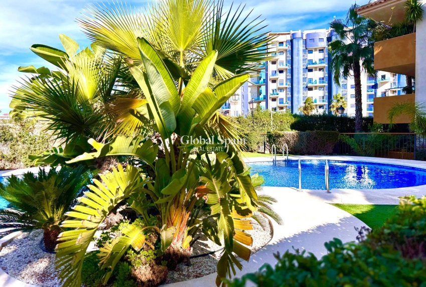 Resale - APARTMENT -
TORREVIEJA - Punta Prima
