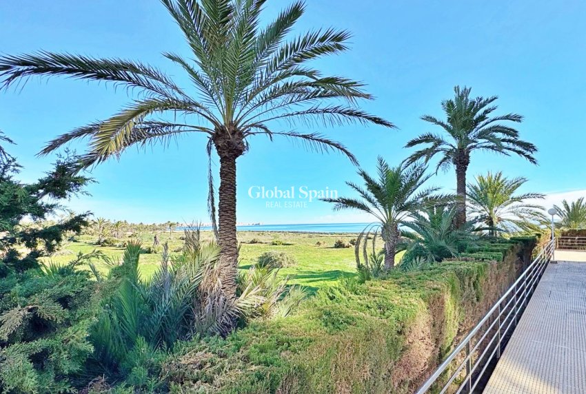 Resale - Apartment -
TORREVIEJA - Rocio del Mar
