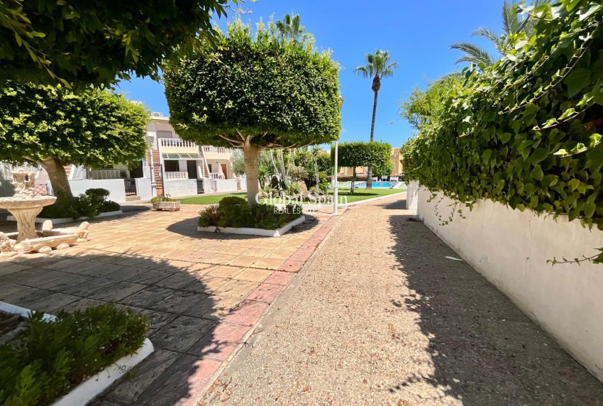 Resale - APARTMENT -
TORREVIEJA - Torreblanca