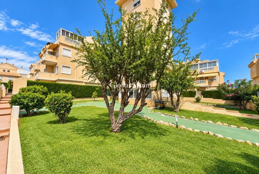 Resale - APARTMENT -
TORREVIEJA - Torreblanca