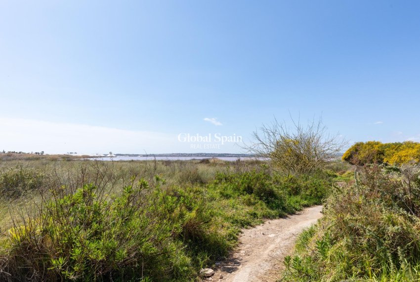 Resale - APARTMENT -
TORREVIEJA - Torretas