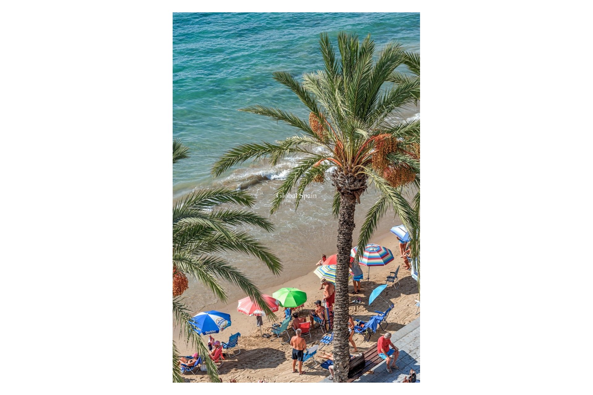 Resale - APARTMENT -
TORREVIEJA - Torrevieja