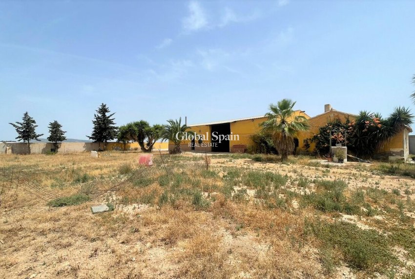 Resale - Commercial -
Balsicas - TORRE PACHECO