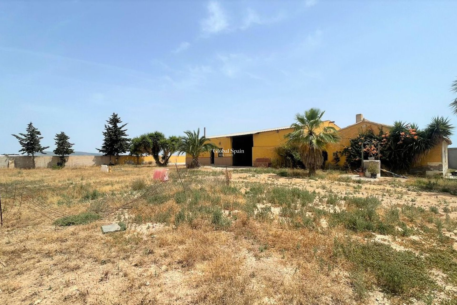 Resale - Commercial -
Balsicas - TORRE PACHECO