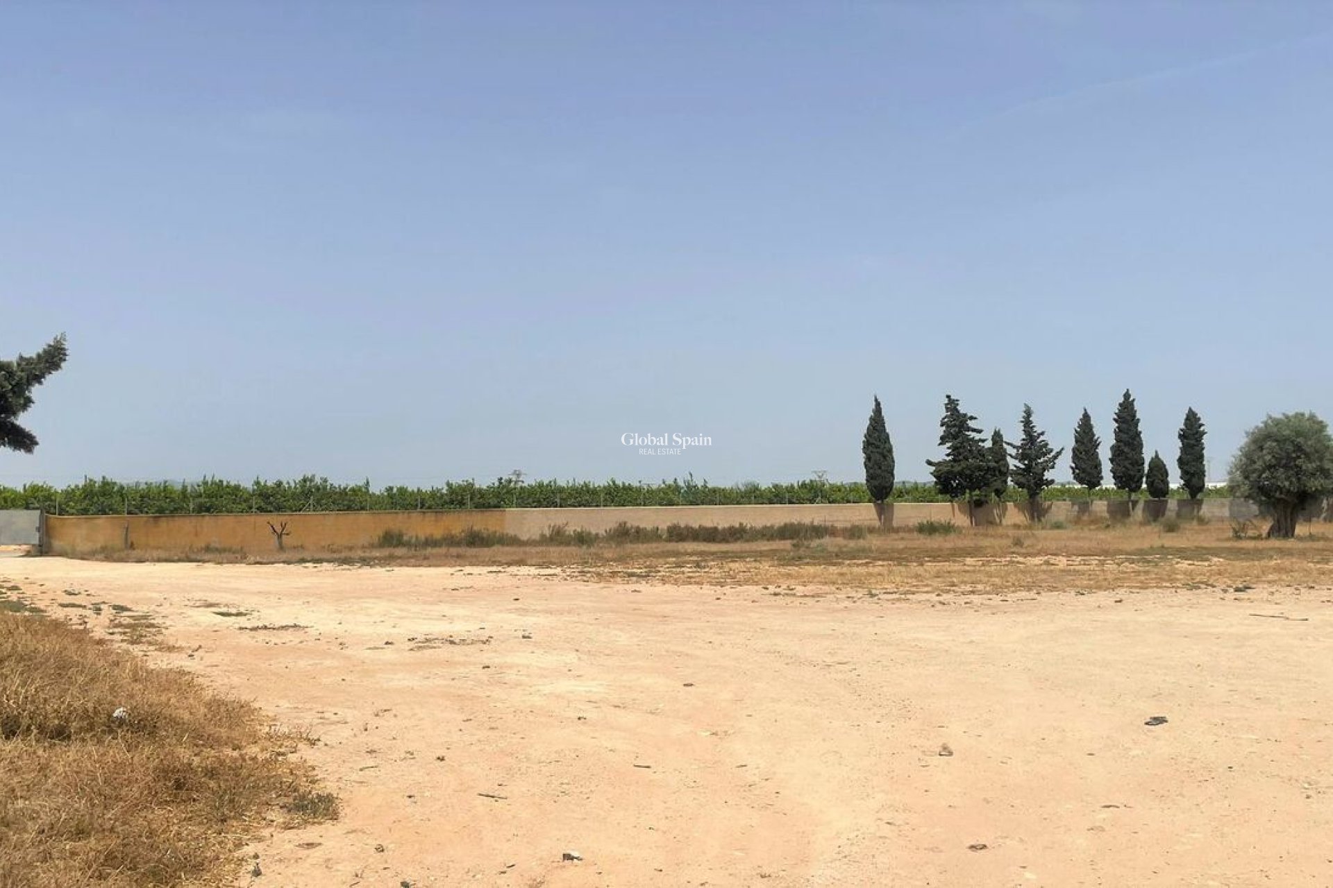 Resale - Commercial -
Balsicas - TORRE PACHECO