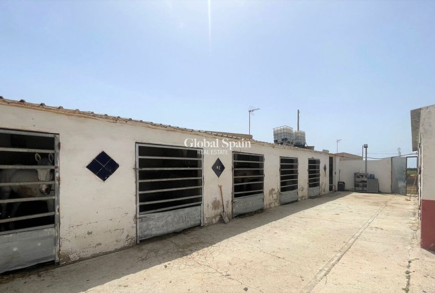 Resale - Commercial -
Balsicas - TORRE PACHECO