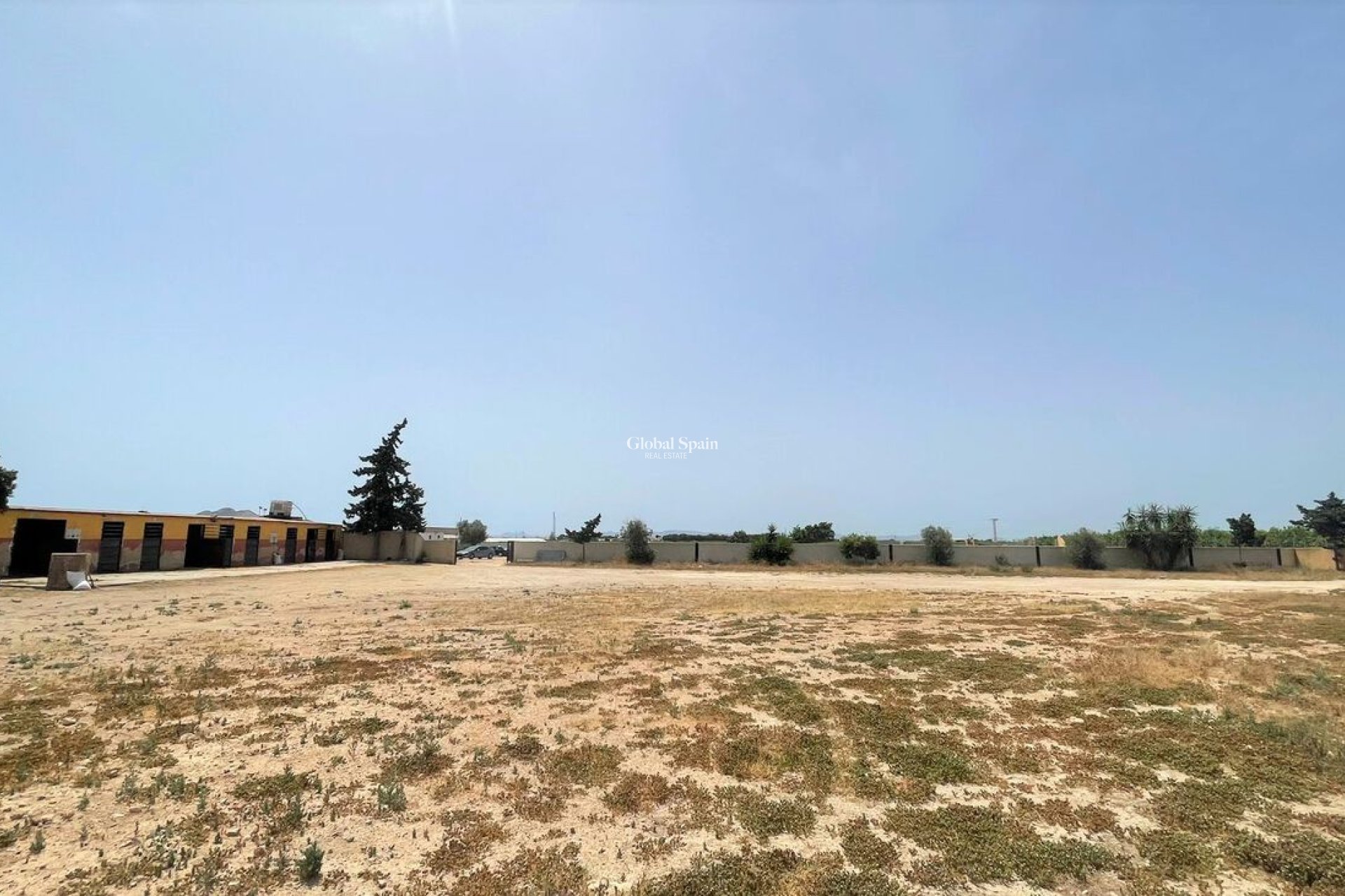 Resale - Commercial -
Balsicas - TORRE PACHECO