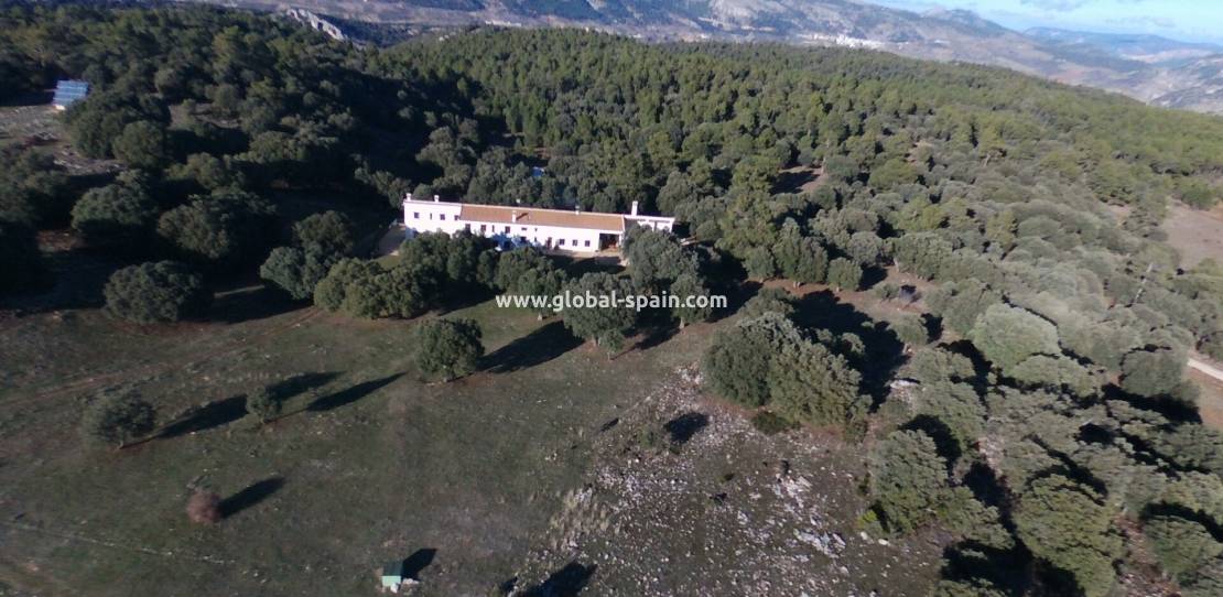 Resale - Commercial Property - Huescar - Las Sierras De Cazorla