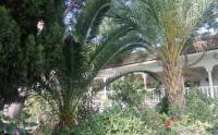 Resale - Country House or Finca - Fortuna - Costa Calida