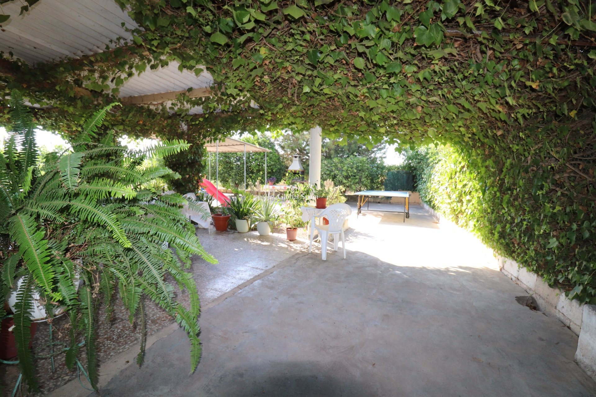 Resale - Country Property/Finca -
ALBATERA