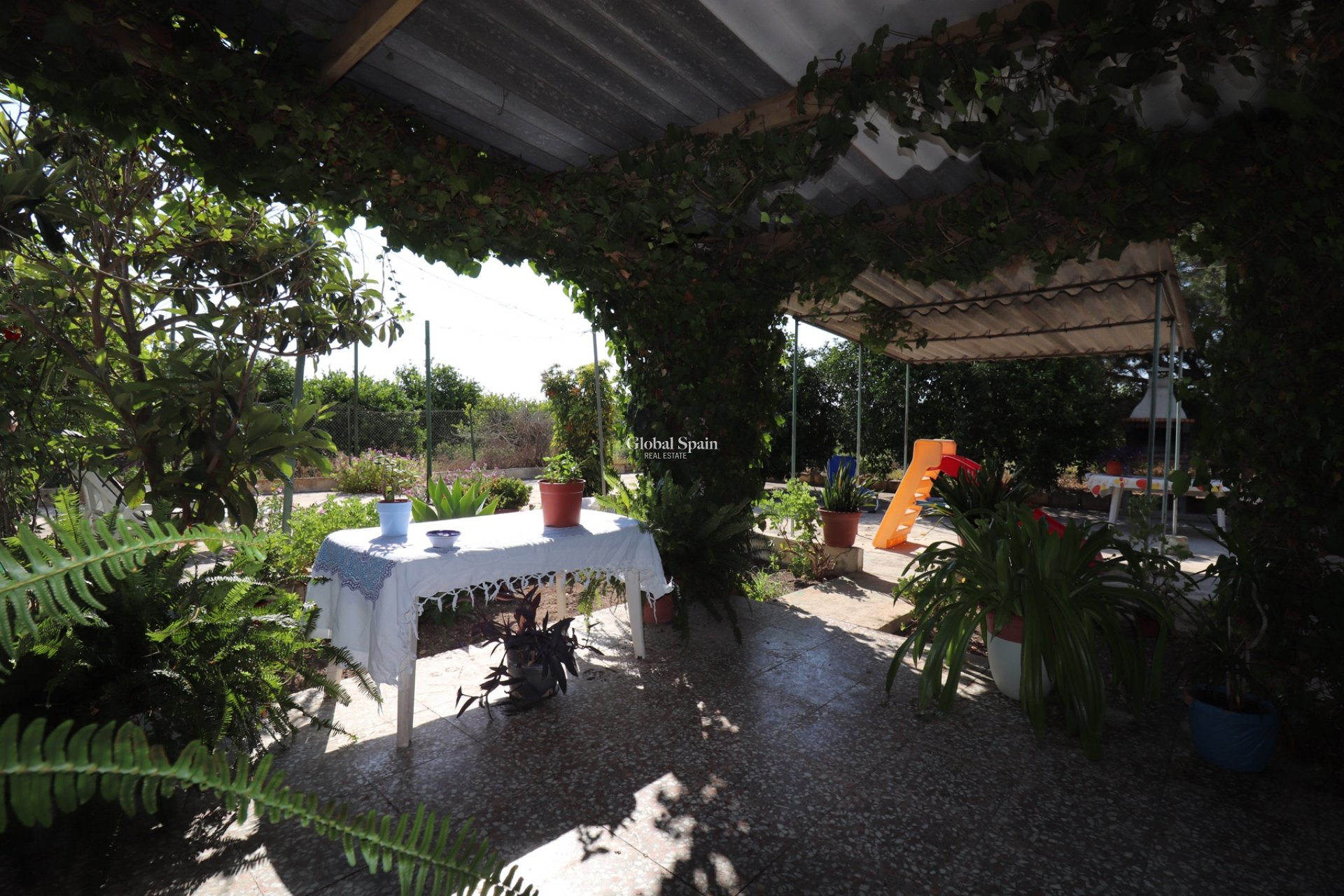 Resale - Country Property/Finca -
ALBATERA