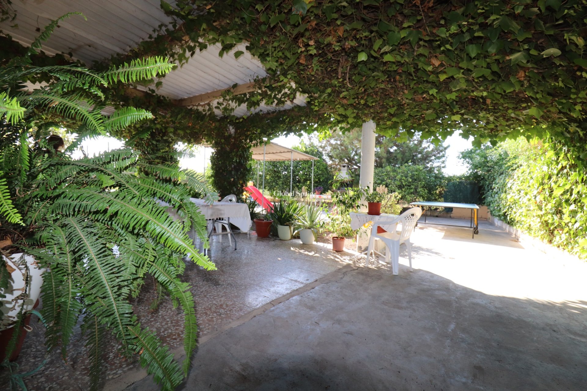 Resale - Country Property/Finca -
ALBATERA