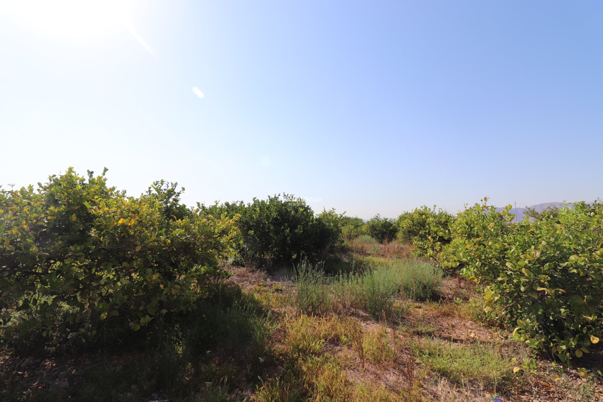 Resale - Country Property/Finca -
ALBATERA