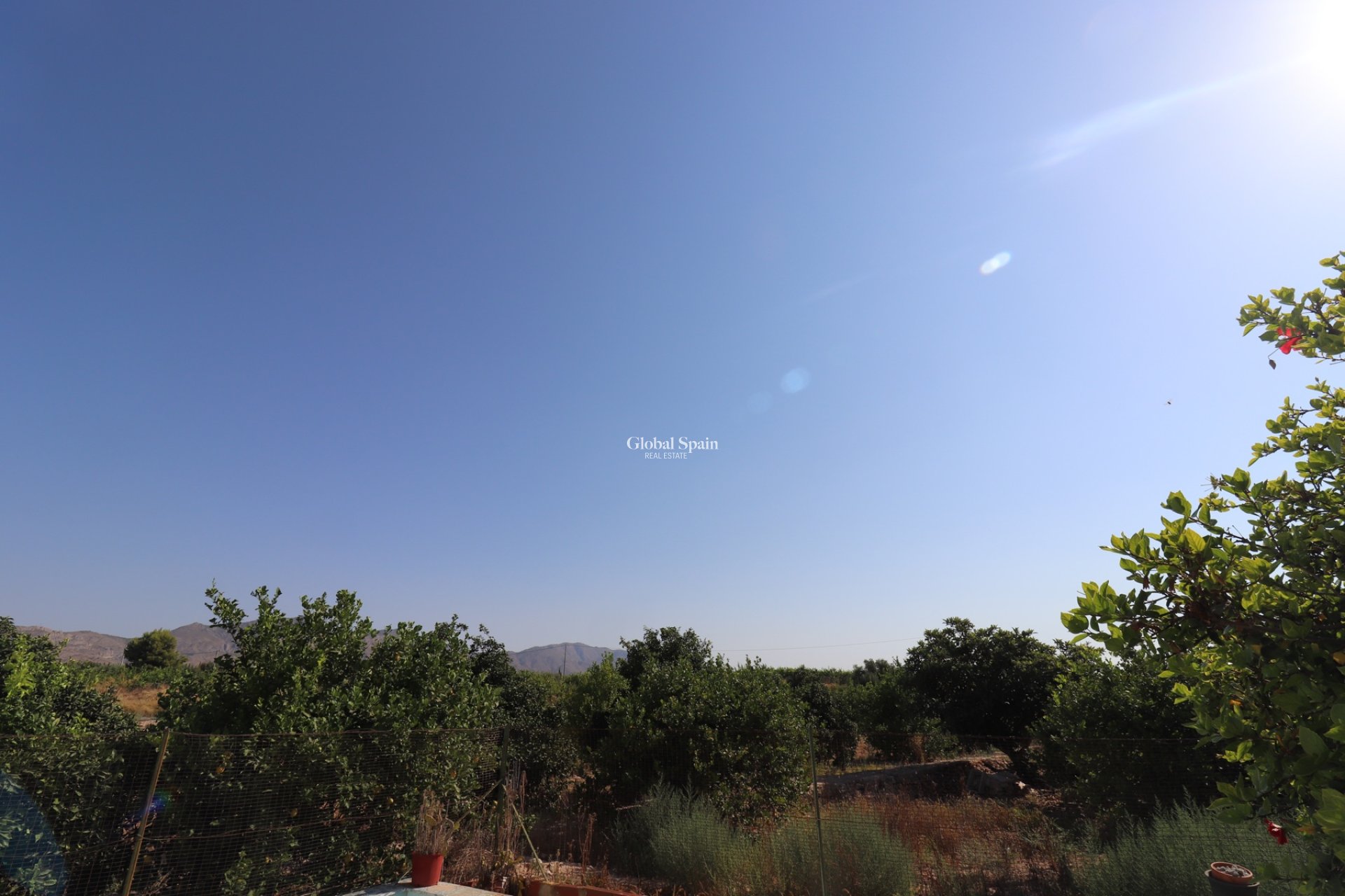 Resale - Country Property/Finca -
ALBATERA