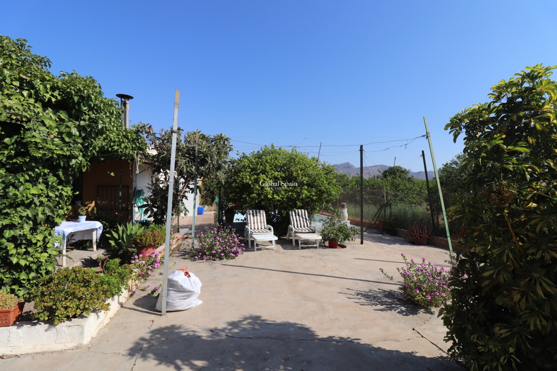 Resale - Country Property/Finca -
ALBATERA