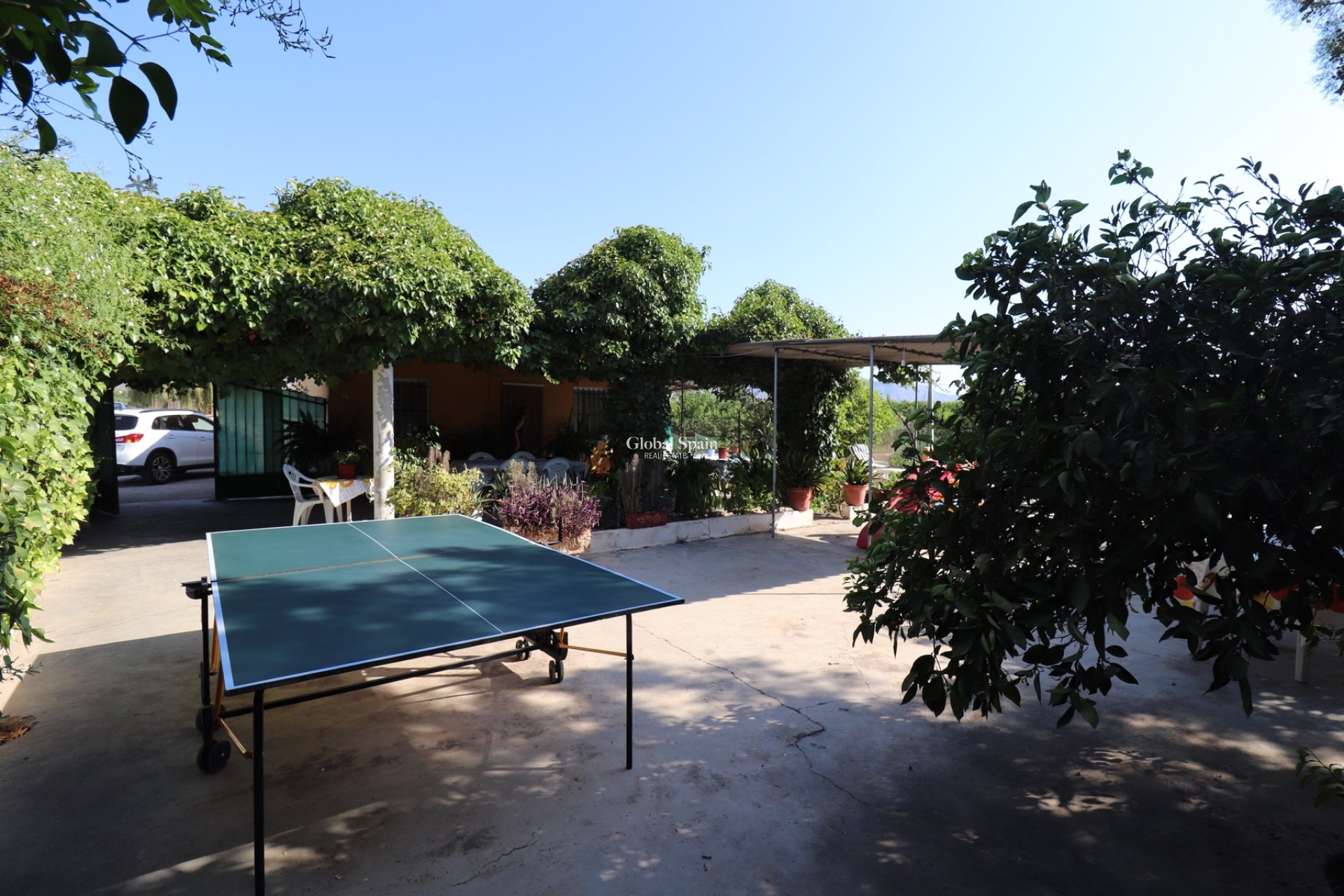 Resale - Country Property/Finca -
ALBATERA