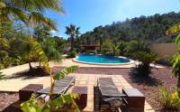 Resale - Country Property/Finca - Aspe - Aspe - Country