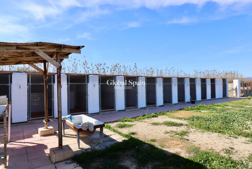 Resale - Country Property/Finca -
CATRAL - Catral