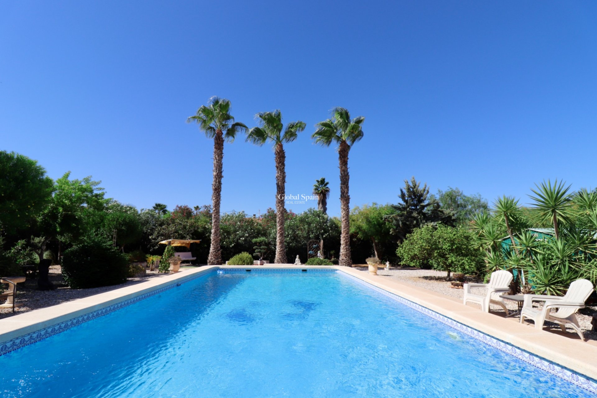 Resale - Country Property/Finca -
CATRAL - Catral