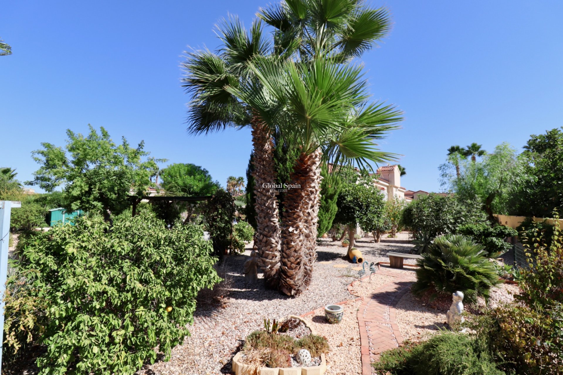 Resale - Country Property/Finca -
CATRAL - Catral