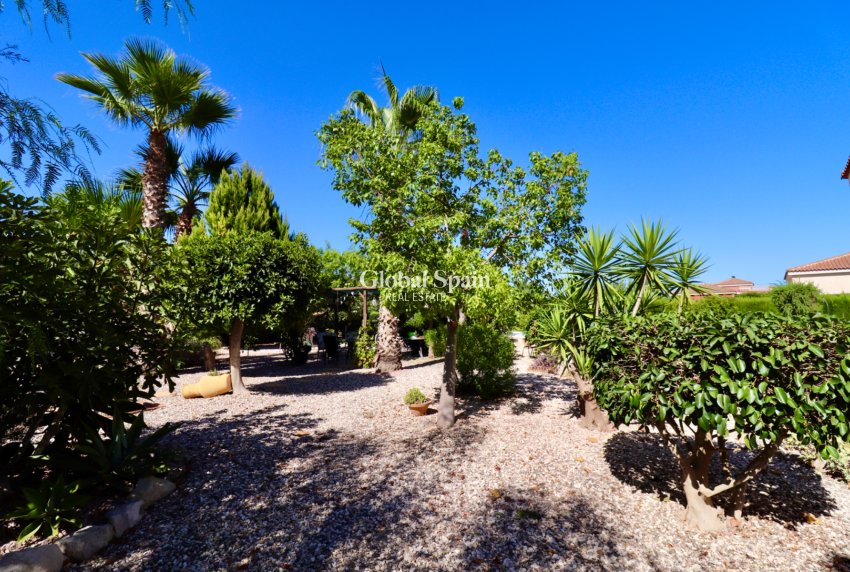 Resale - Country Property/Finca -
CATRAL - Catral