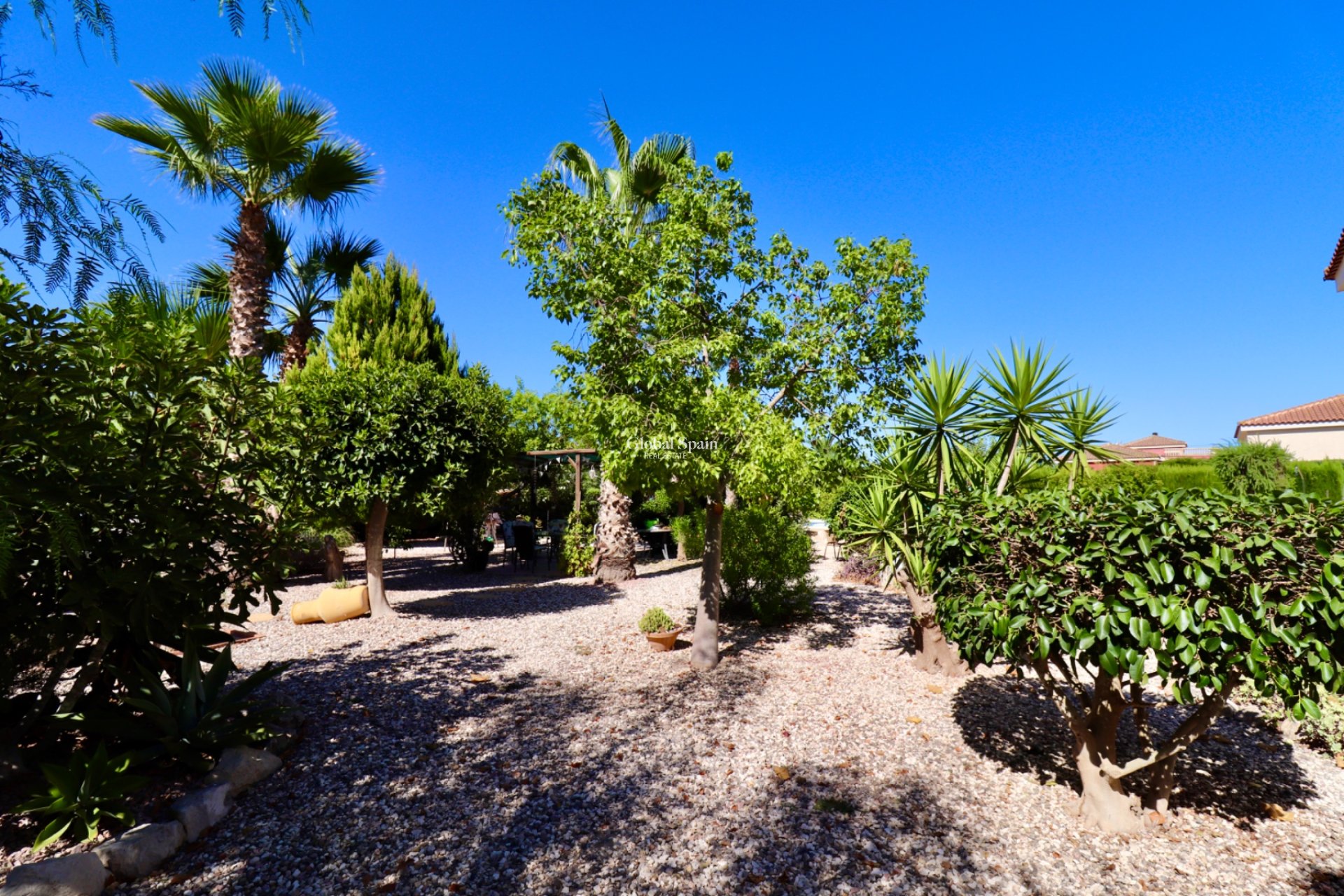 Resale - Country Property/Finca -
CATRAL - Catral