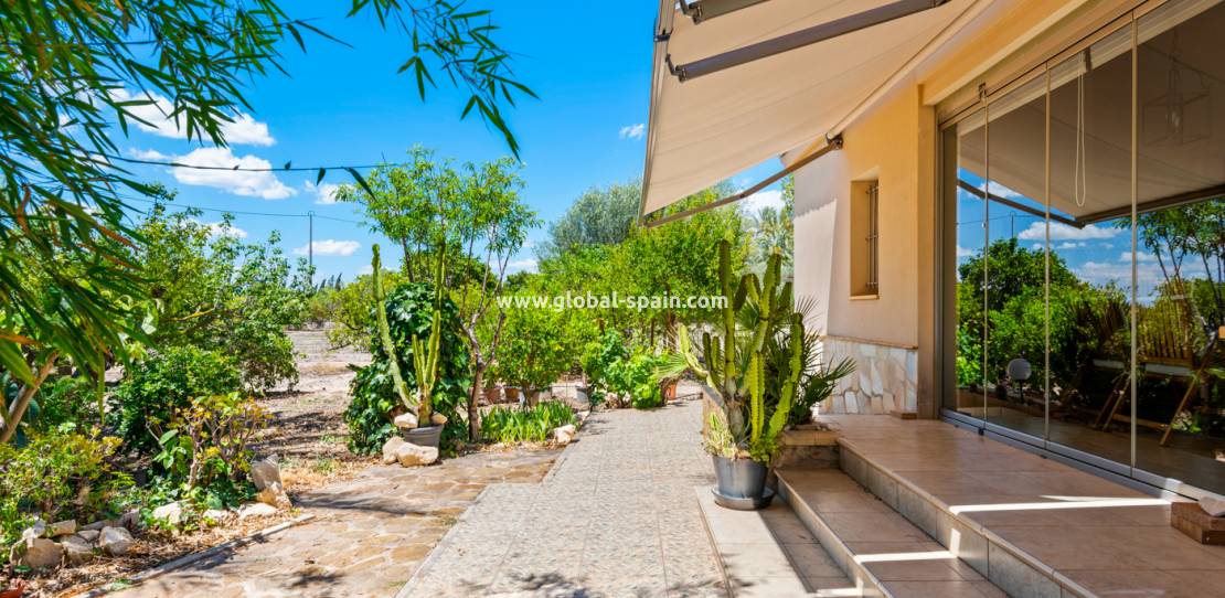 Resale - Country Property/Finca - Elche/Elx