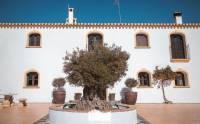 Resale - Country Property/Finca - Lorca