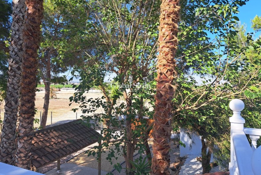 Resale - Country Property/Finca -
ORIHUELA - Orihuela